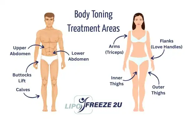 Graphic showing where you can have Body toning Treatment Braintree on your body